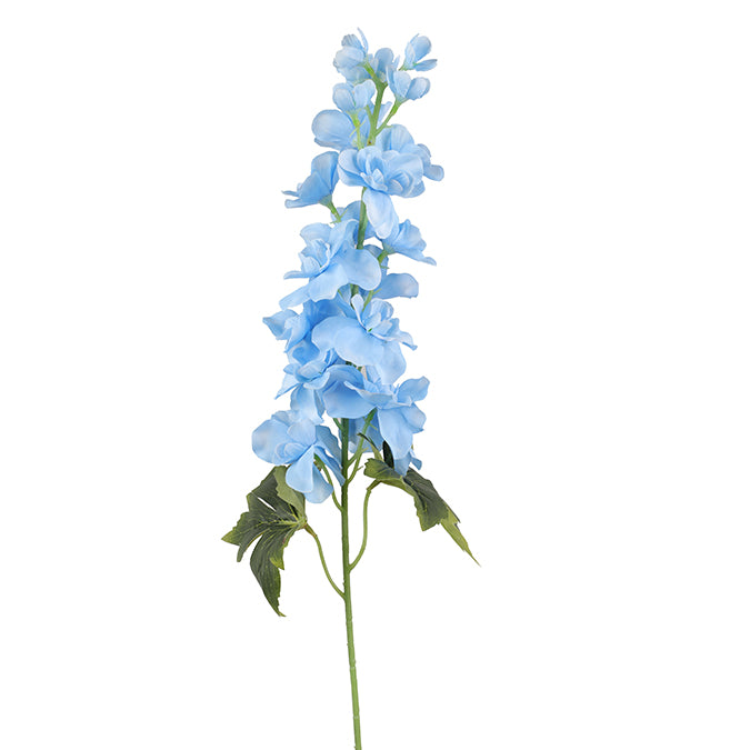 DD Delphinium Stem Blue 70cm