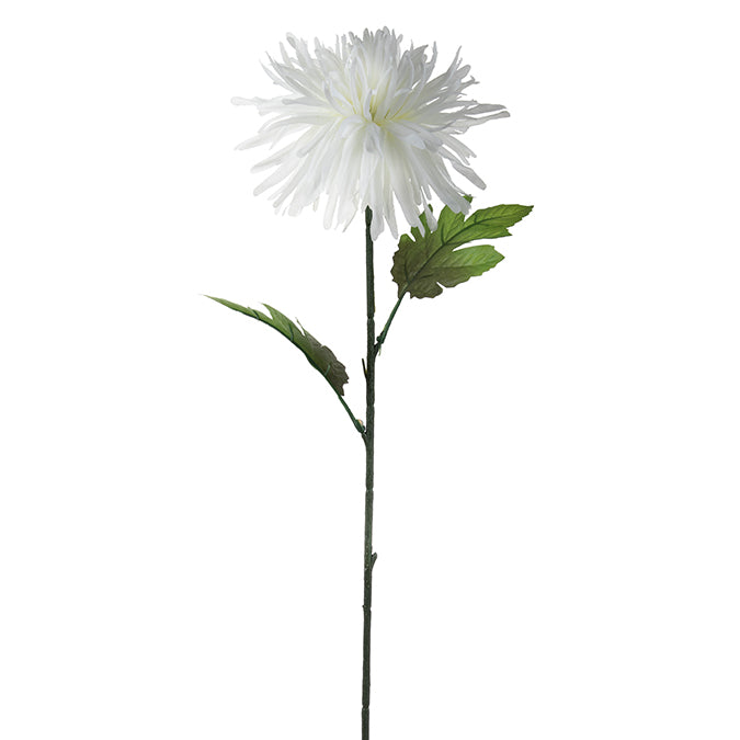 DD Fuji Mum Stem White 64cm