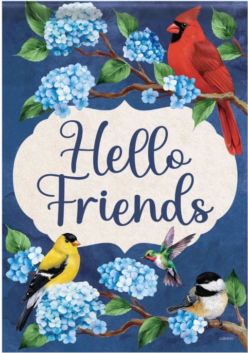 EB Large Flag - Hello Friends 54885