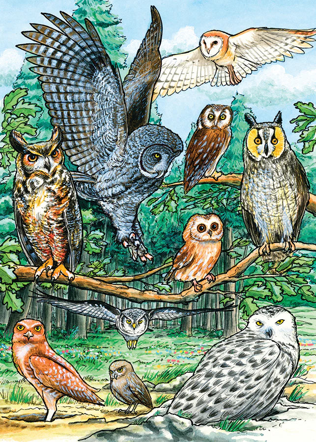 Tray Puzzle 35pc - North American Owls 58810