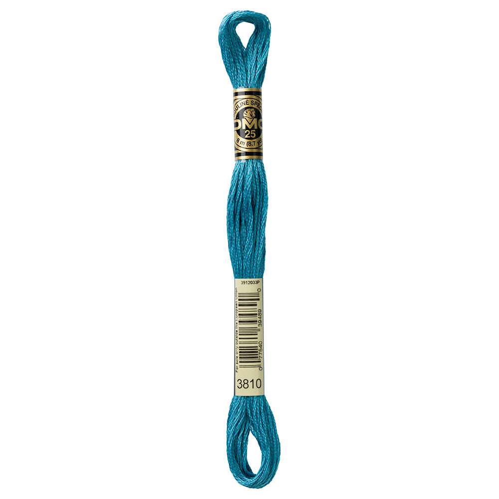 DMC 3810 Blue