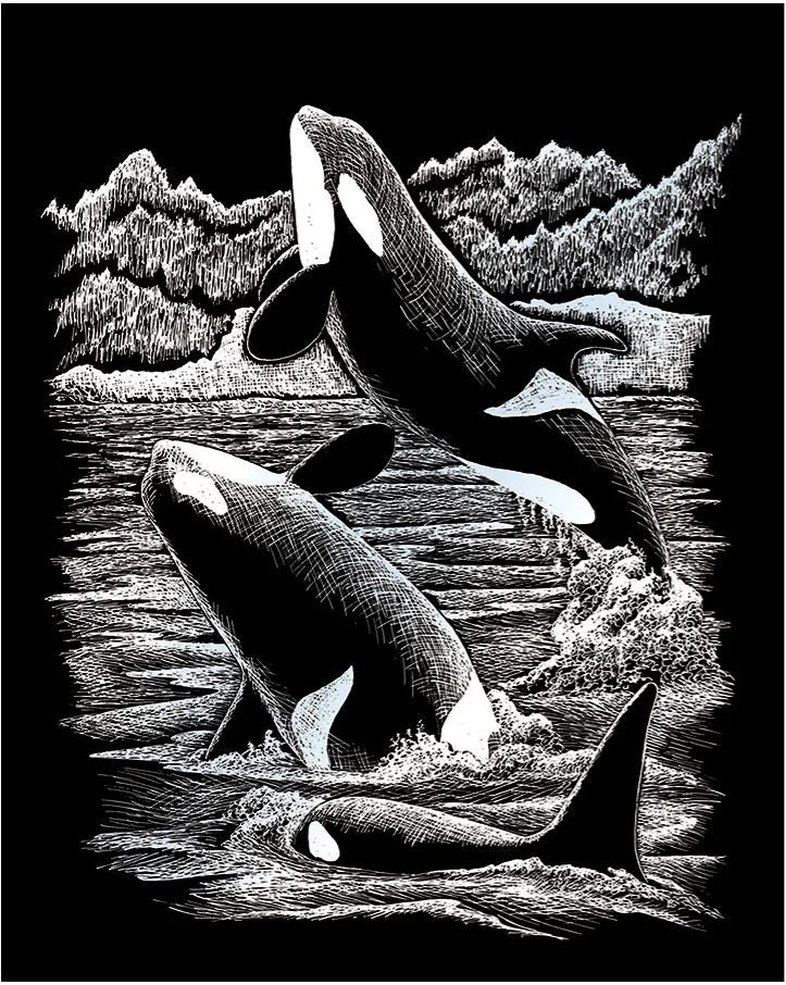 EGR Art - Orca Silver