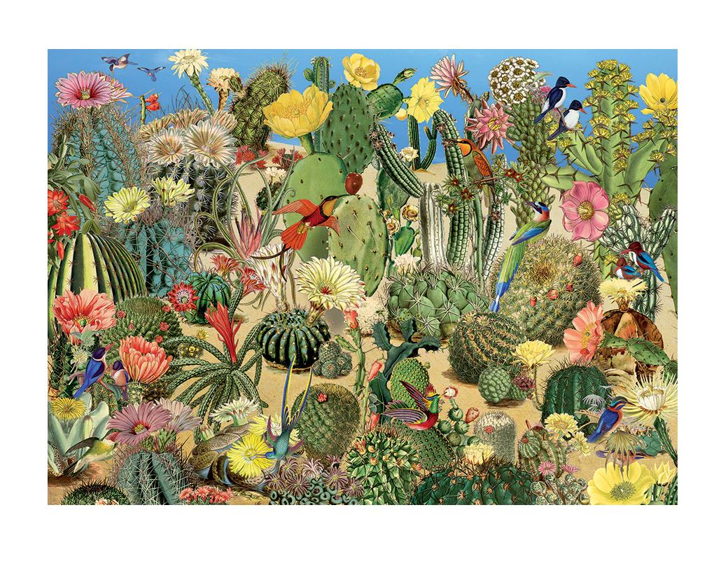 Puzzle 1000pc - Cactus Garden 40086