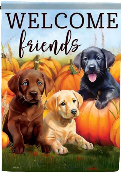 EB Lg Flag - Welcome Pups