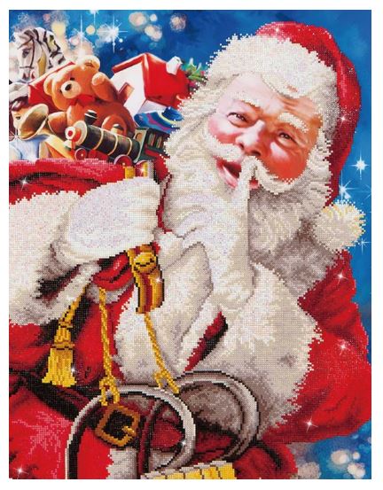 Diamond Dotz - Santa's Secret DD13.008
