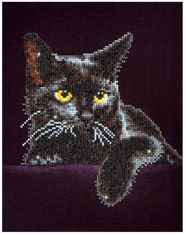 Diamond Dotz - Midnight Cat Intermediate DD5.001