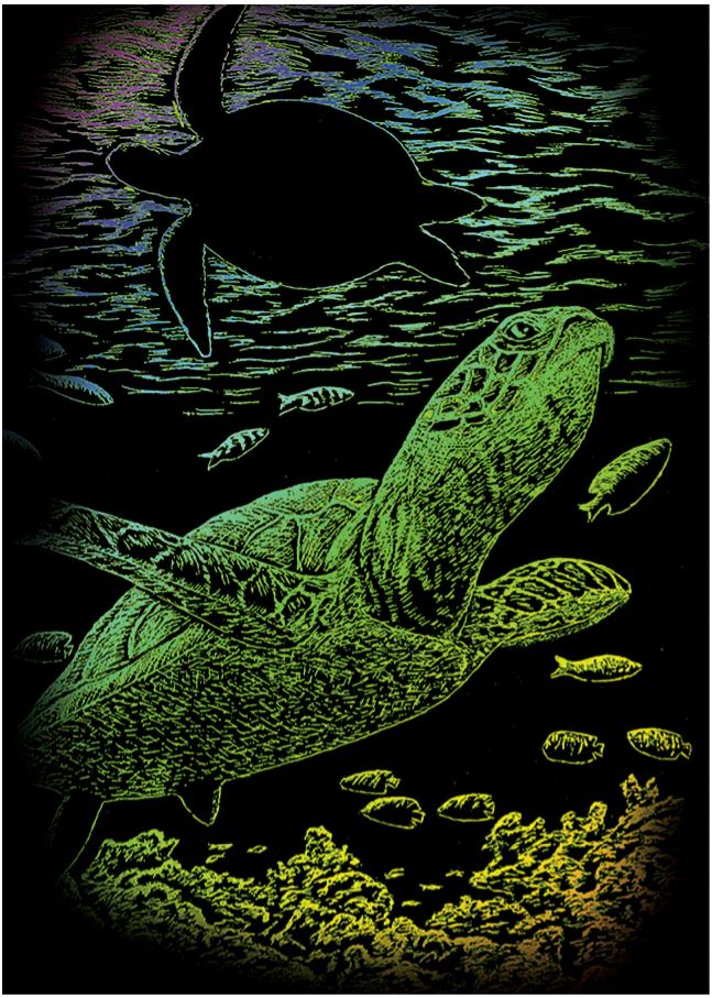 EGR Art Mini - Undersea Turtle