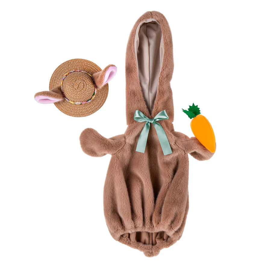 EE Porch Goose Outfit - Everyday Bunny