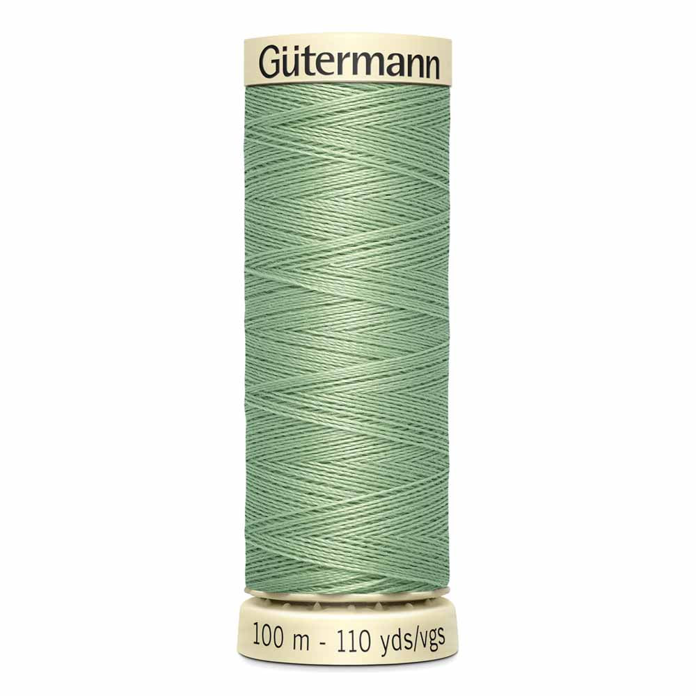 Gut Poly Thread 100m - Lima Bean 725