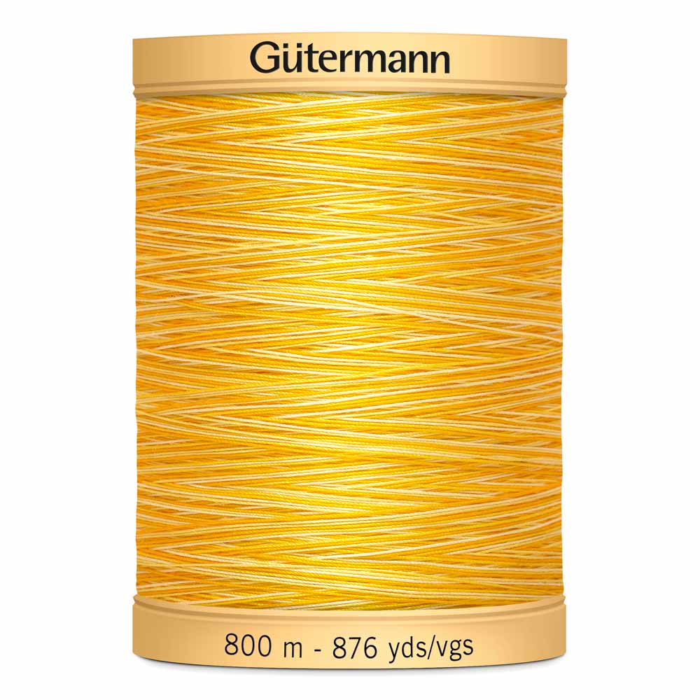 Gut Varigated 800m 918