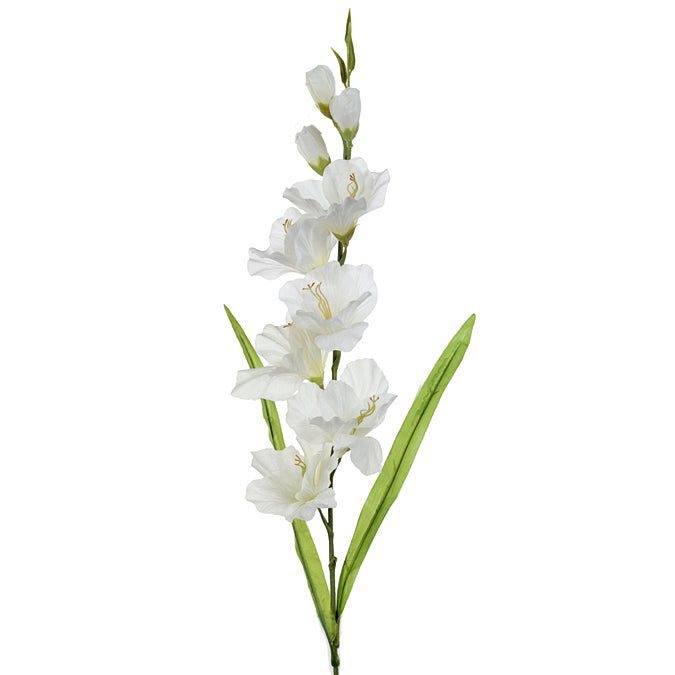 DD Gladiola Spray White 79cm