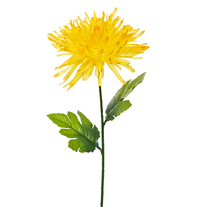 DD Fuji Mum Stem Yellow 64cm