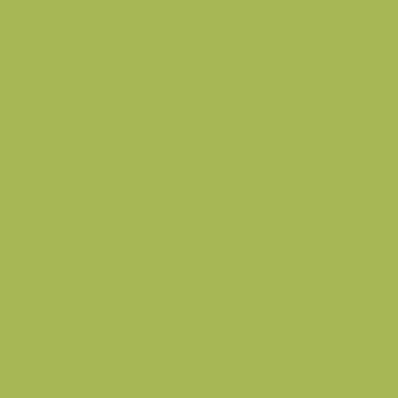 CW Premium Solid - Kiwi 741