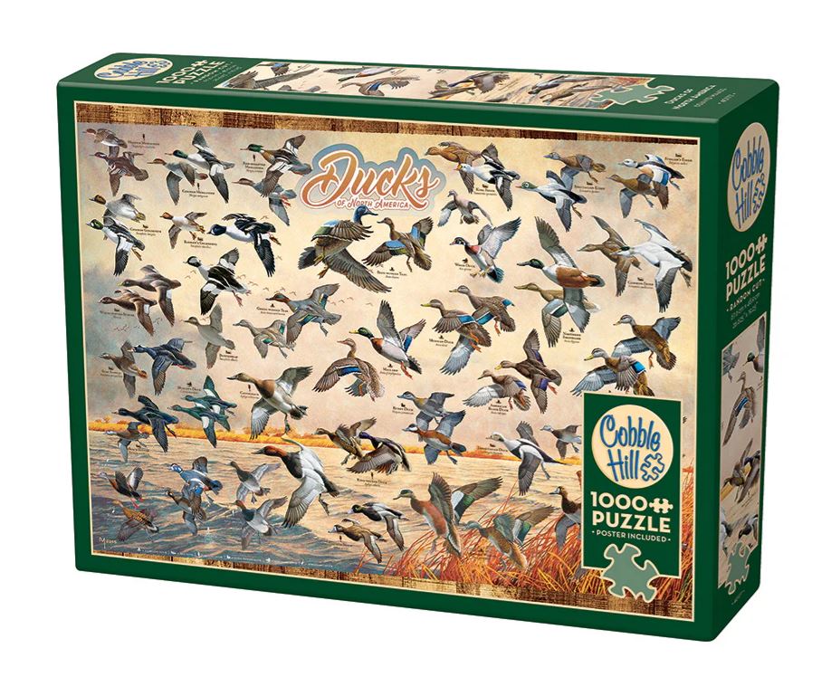 Puzzle 1000pc - Ducks Of North America 40177