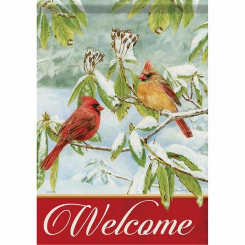 *EB Lg Flag - Cardinals In Snow