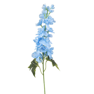 DD Delphinium Stem Blue 70cm