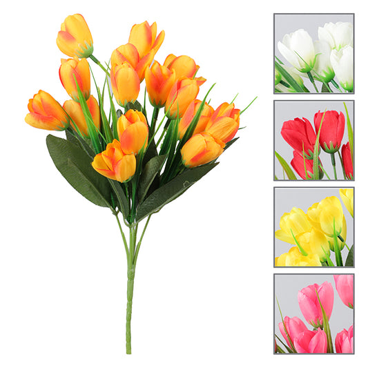 DD Tulip Bush Assorted 30cm