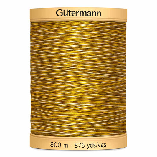 Gut Varigated 800m 928