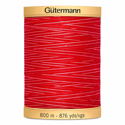 Gut Varigated 800m 973