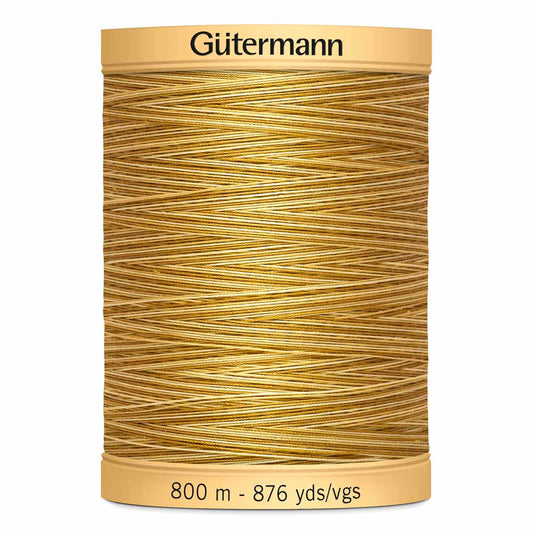 Gut Varigated 800m 938