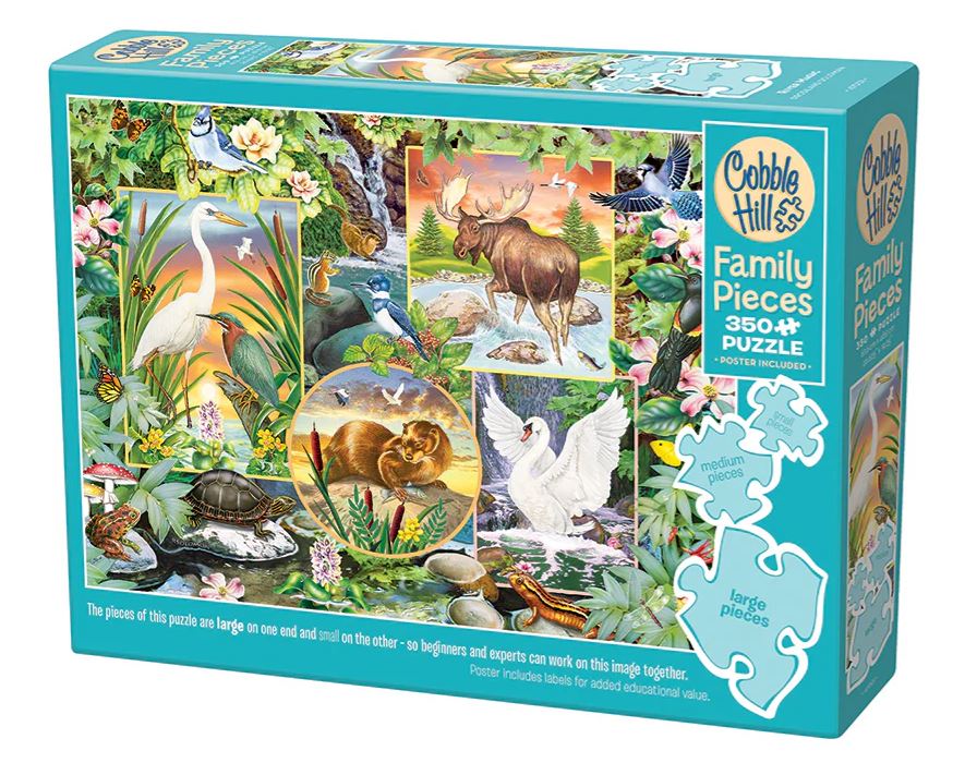 Family Puzzle 350pc - River Magic 47001