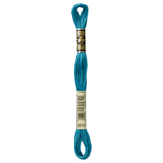 DMC 3810 Blue