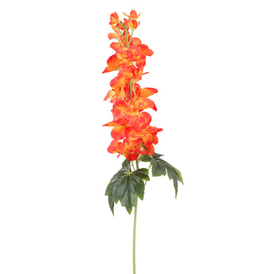 DD Delphinium Stem Orange 70cm