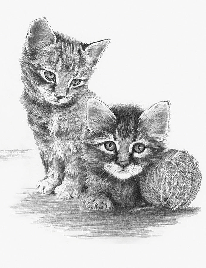 SKBN - Kittens With Ball Of Yarn SKBN26