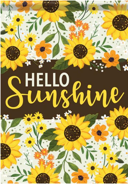 EB Large Flag - Hello Sunshine 54868