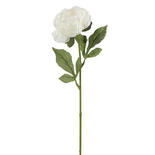 DD Peony Stem White 63cm