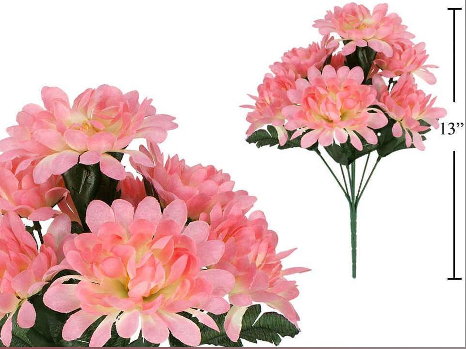 Chrysanthemum Pink