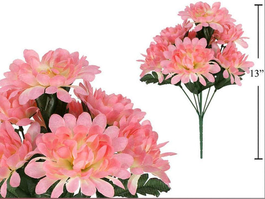Chrysanthemum Pink