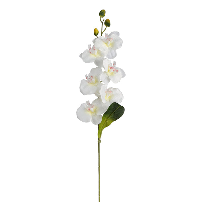 DD Orchid Spray W/6 Flowers White 74cm