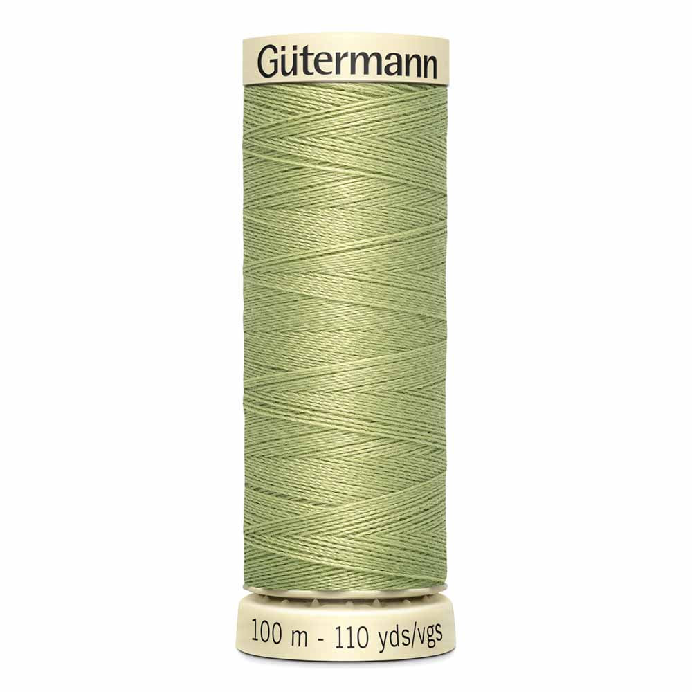 Gut Poly Thread 100m - Mist Green 721
