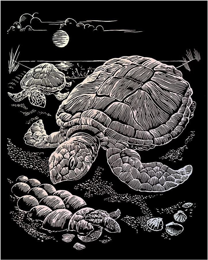 EGR Art Holographic - Swimming Sea Turtles