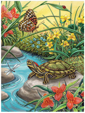 PBN - Red Eared Slider (Turtle) PJS91