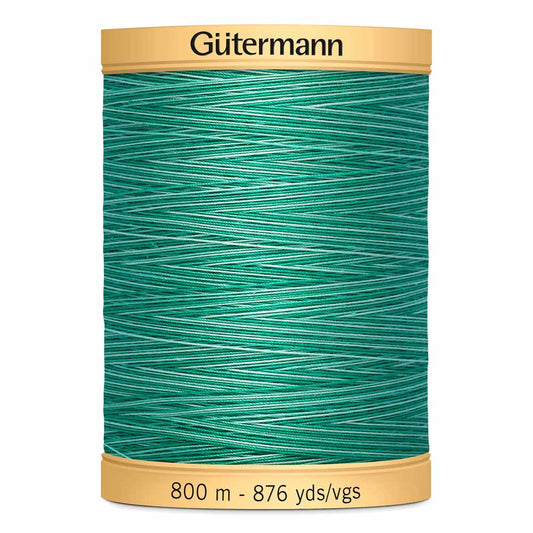 Gut Varigated 800m 989