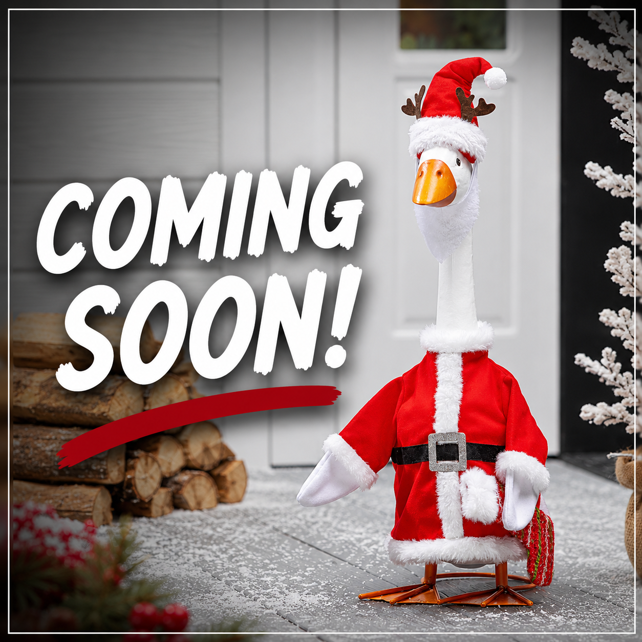 EE Porch Goose Outfit - Mr. Claus