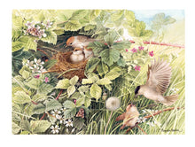 Puzzle 1000pc - Hidden Nest 80342