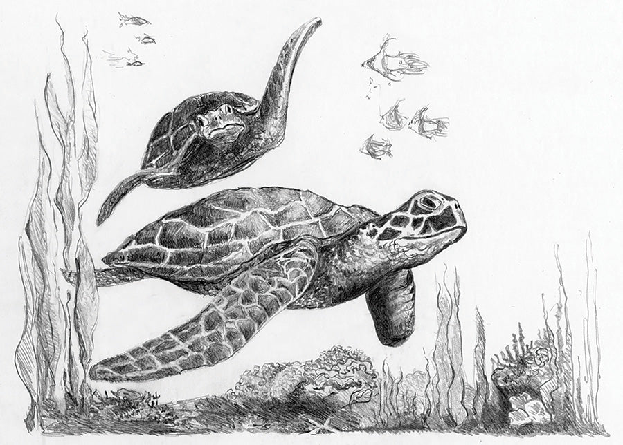 SKBN - Sea Turtles Mini SKMIN104