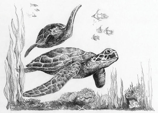 SKBN - Sea Turtles Mini SKMIN104