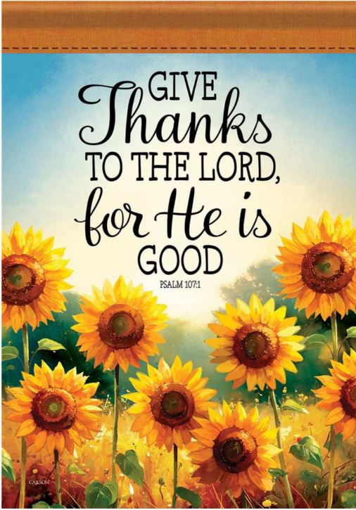 EB Large Flag - Days Sunshine 54961