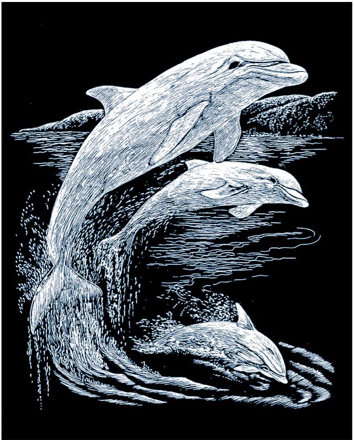 EGR Art Silver - Dolphins