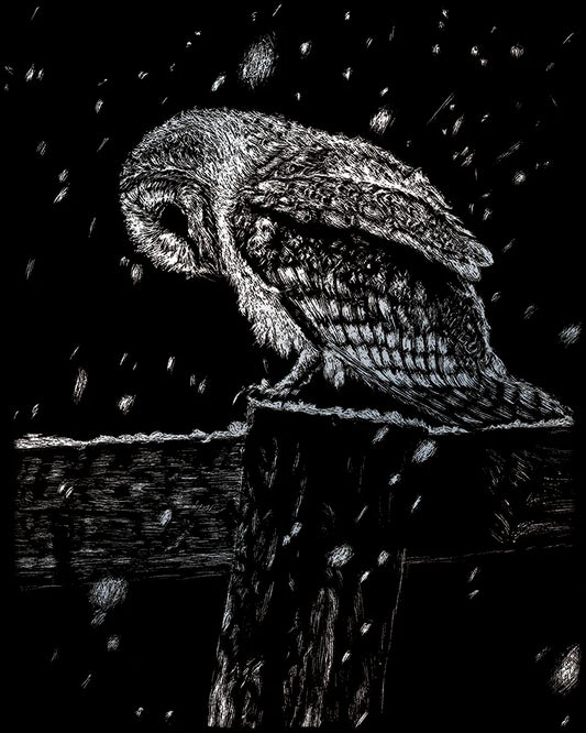 EGR Art Silver - Snowfall At Night