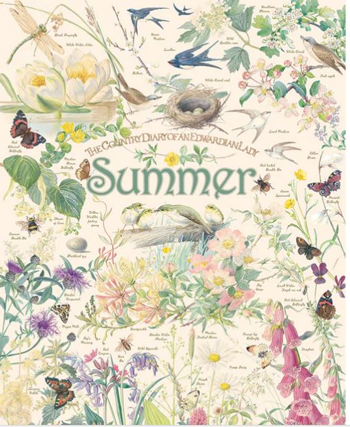 Puzzle 1000pc - Country Diary: Summer 80212