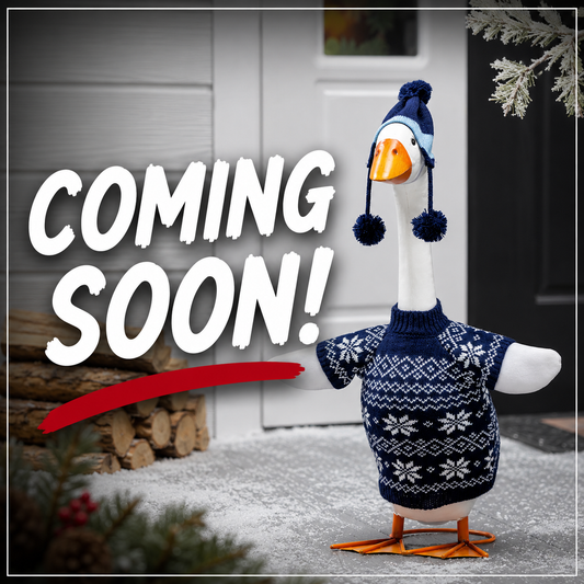 EE Porch Goose Outfit - Blue Sweater