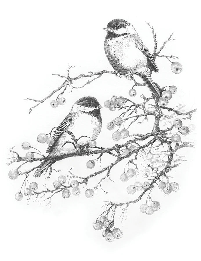 SKBN Chickadees w/Winter Berries SKBN25