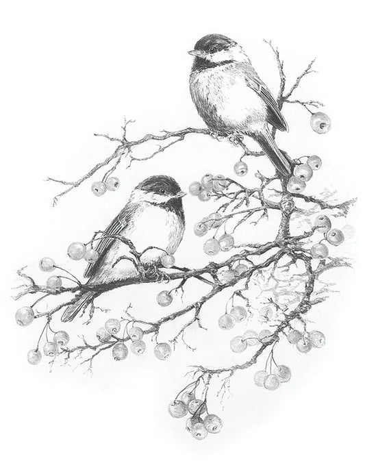 SKBN Chickadees w/Winter Berries SKBN25