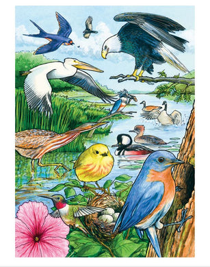 Tray Puzzle 35pc - North American Birds 58809