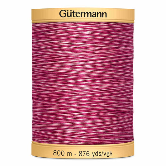 Gut Varigated 800m 969